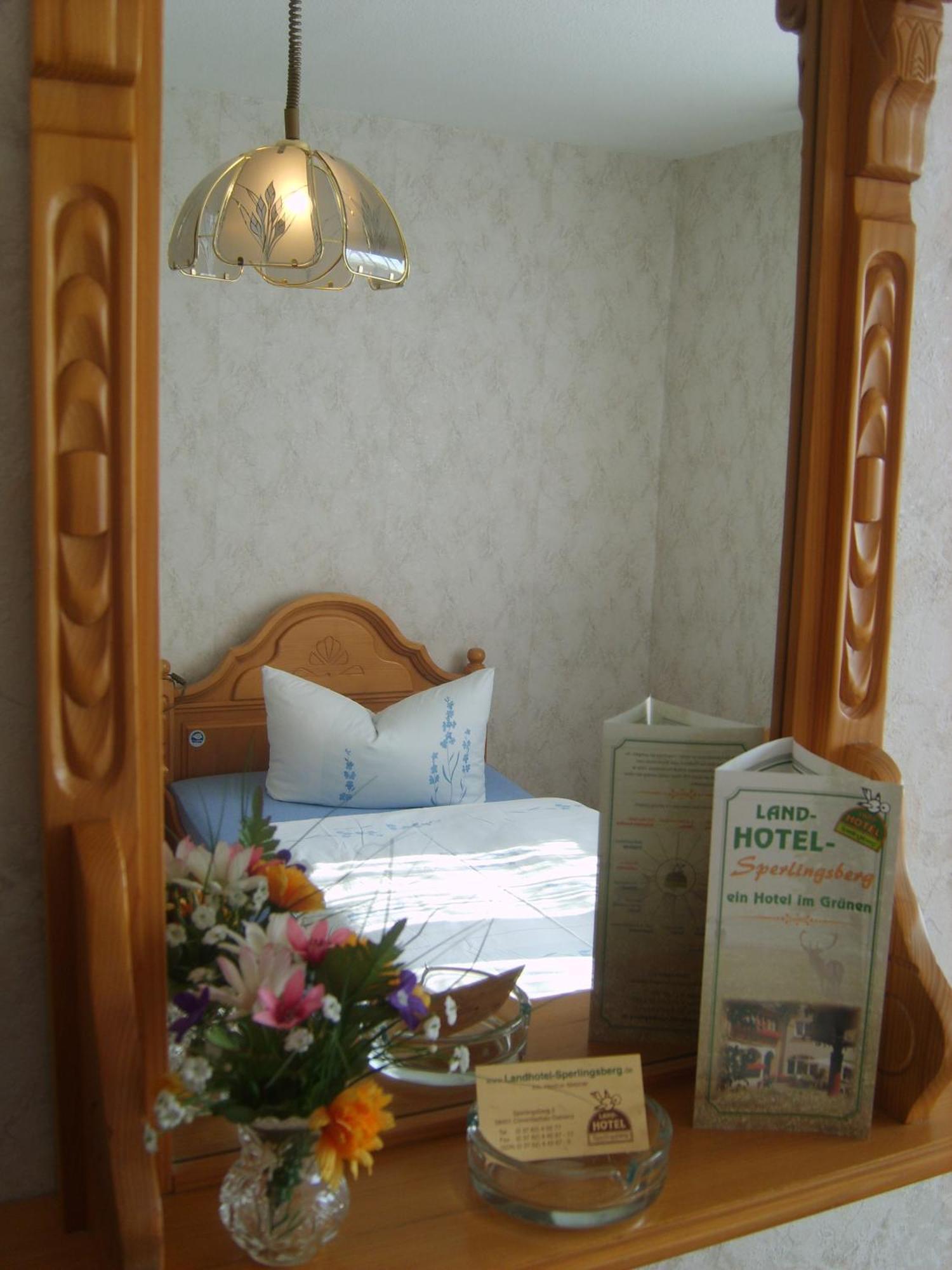 Landhotel Sperlingsberg Crimmitschau Luaran gambar
